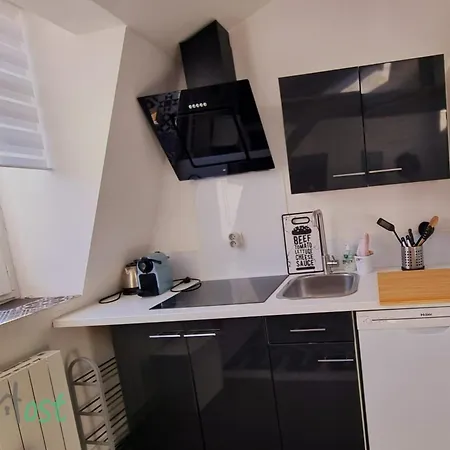 Apartment Daisy-stations,grd Palais,zenith&center *